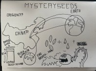 MsterySeeds